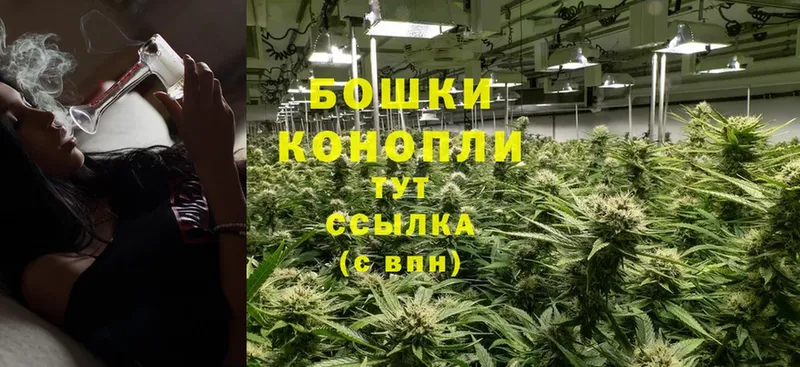 Шишки марихуана OG Kush  Шахты 